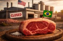 carne bovina brasileira