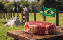 carne bovina brasileira sustentabilidade compreruralv- Compras árabes de carne bovina do Brasil crescem mais que 176%
