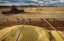 colheita da soja no mato grosso