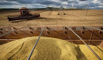 colheita da soja no mato grosso