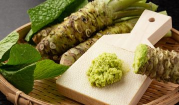 Wasabi a preço de ouro: raiz de até R$ 10 mil o quilo cresce no interior paulista