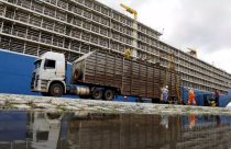 exportações de gado vivo capa