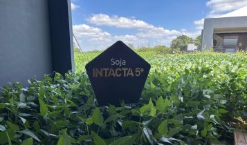 Bayer apresenta Intacta 5+: nova geração de biotecnologia para soja