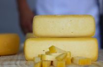 Mestrado vai capacitar técnicos da Emater-MG para atuação com queijos artesanais