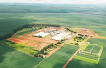 Sementes São Francisco, do Pátria, compra Auma Sementes e entra em MG
