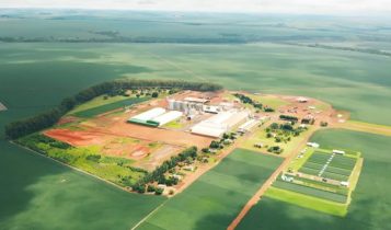 Sementes São Francisco, do Pátria, compra Auma Sementes e entra em MG