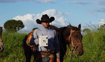 Como a balança virou câmera – que pesa bois no pasto – está transformando a pecuária