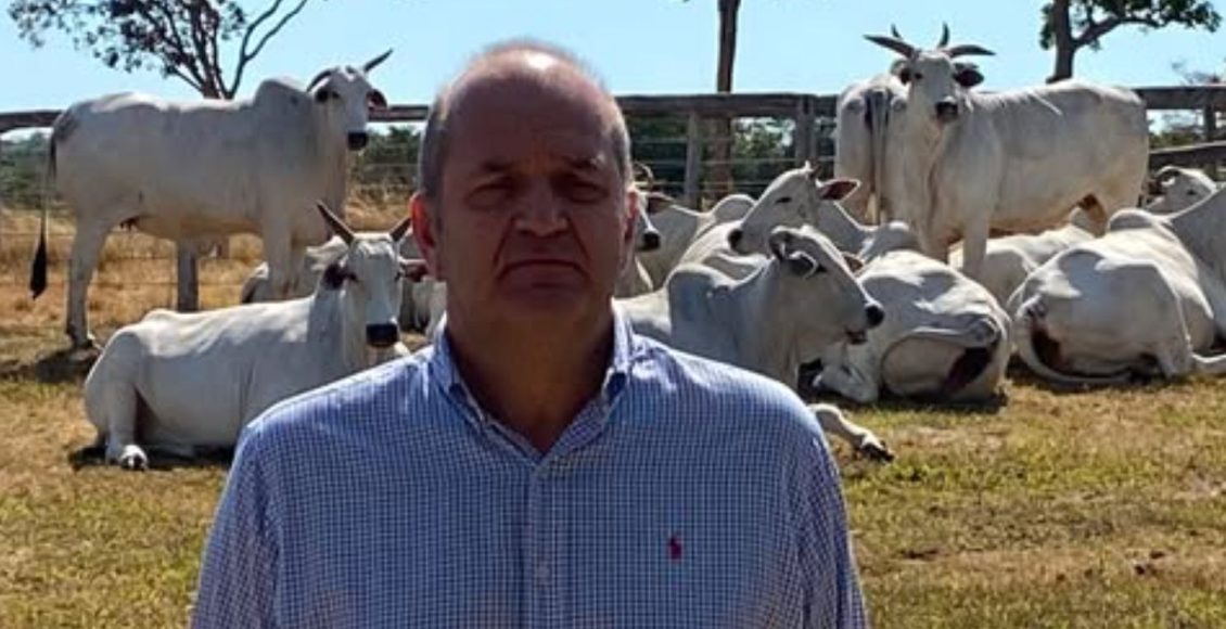paulo leonel nelore pecuaria brasileira