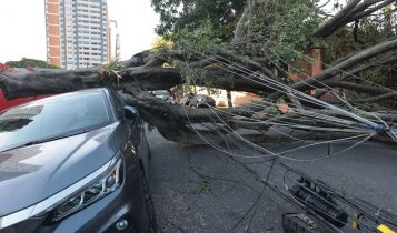 Comércio perde mais de R$ 50 milhões com falta de energia em São Paulo