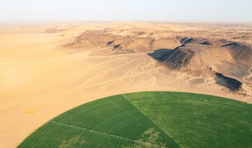 agricultura