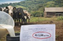 “Não dá mais!”: Produtora catarinense denuncia queda no preço do leite e teme fim da atividade