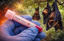 Surto de vírus Nipah na Índia reacende alerta global para doenças zoonóticas