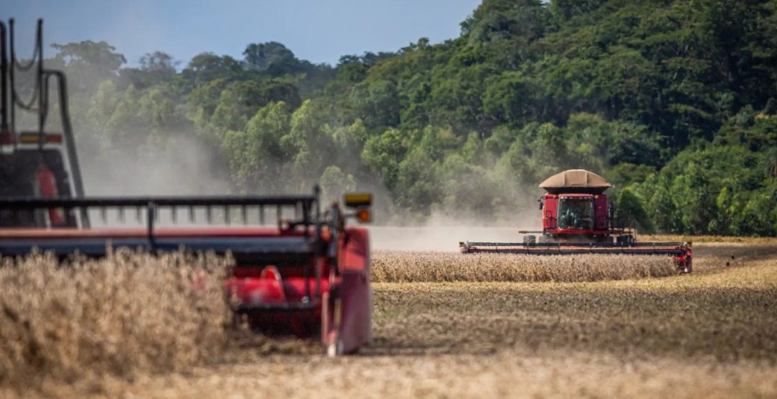 Plantio de transgênicos próximo a unidades de conservação exige atenção e pode gerar multas