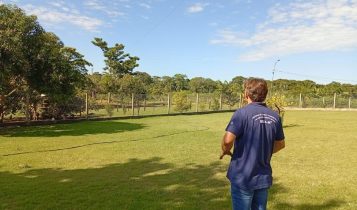 Gripe aviaria volta a acender alerta em Mato Grosso fragilidade sanitaria