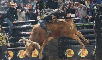Leandro Zampollo - Bull Stock Media