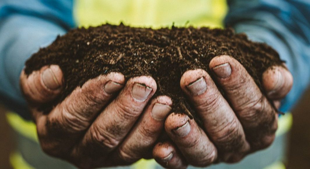 Bunge e Mantiqueira Brasil fecham acordo comercial para fornecimento de farelo de soja rastreável e de baixo carbono