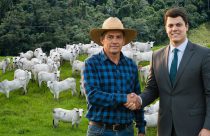 Tulio Parca Advogados - pecuaria de corte
