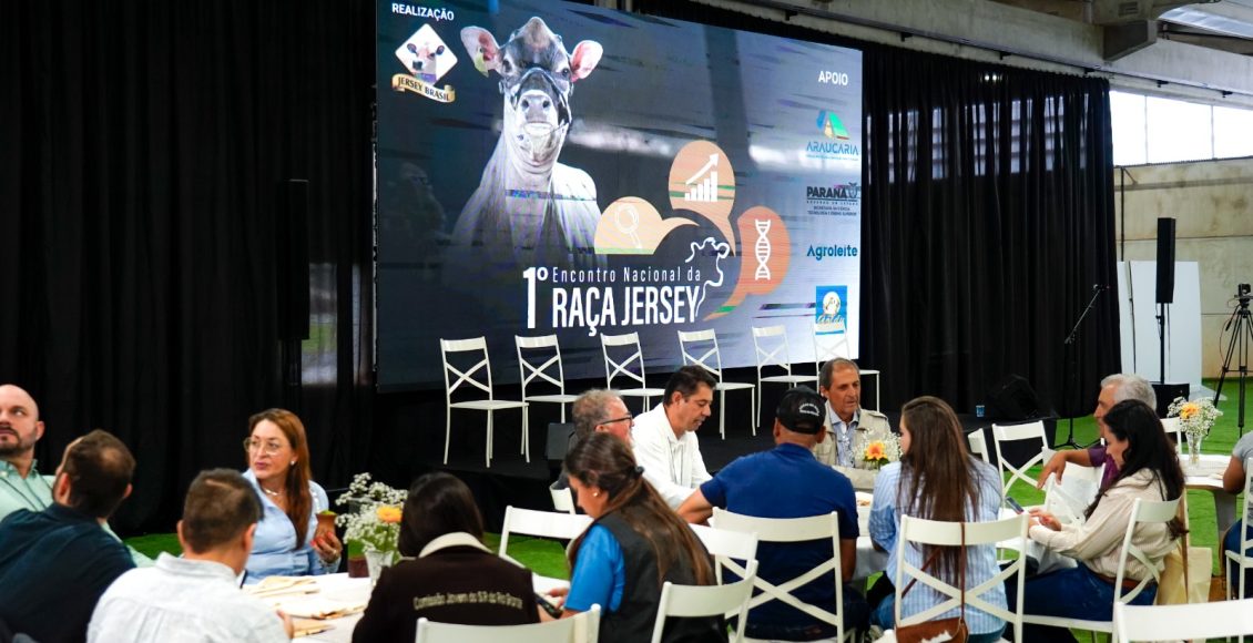 raça jersey