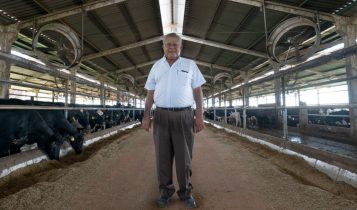 Xapetuba Agropecuaria - Jose Antonio da Silveira