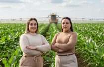 consulttagro credito rural
