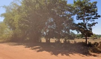 Fazendeiro recupera 2.400 hectares após Justiça expulsar 70 famílias invasoras: entenda