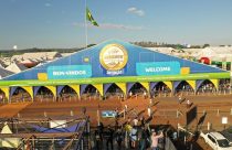 Cavalo Mangalarga estreia na Agrishow