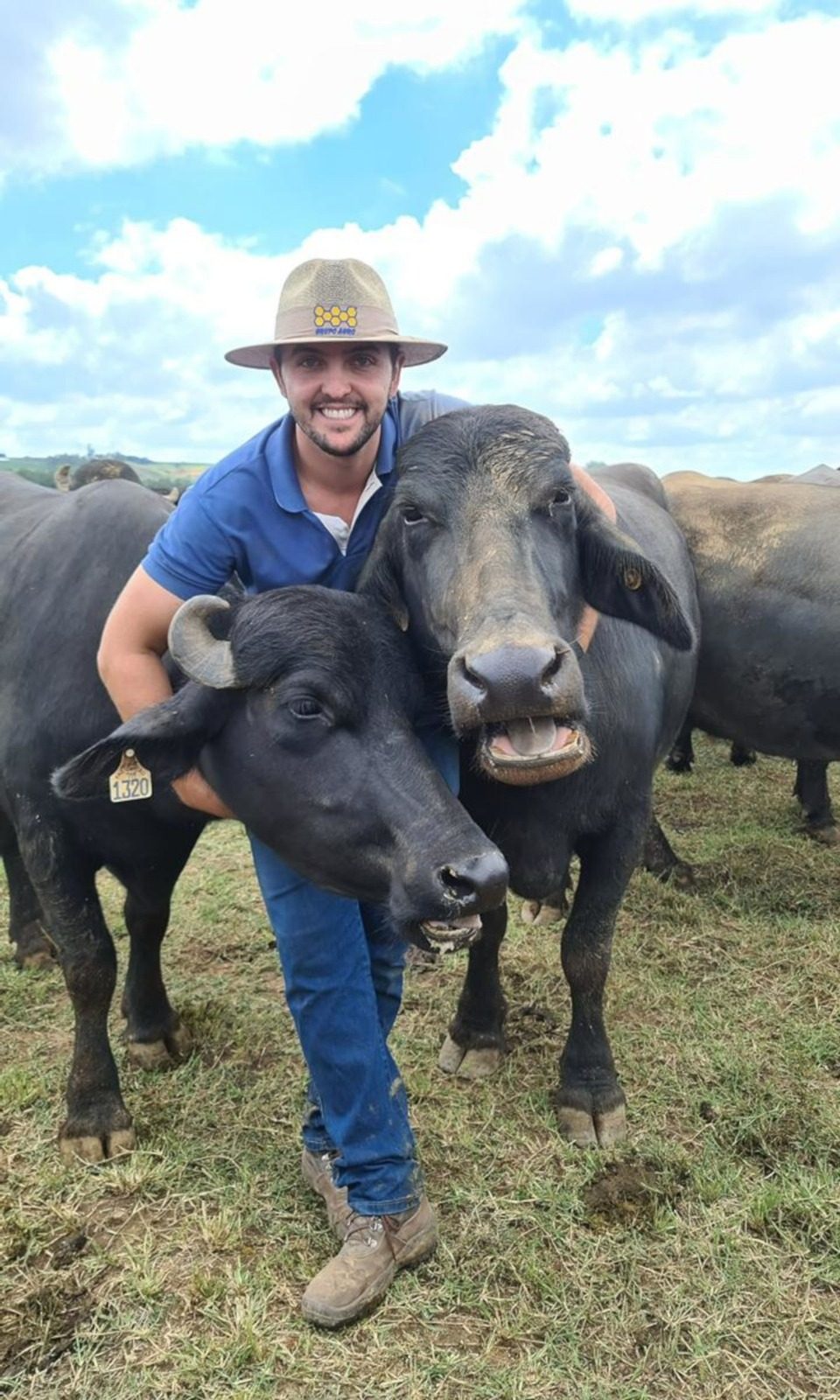 Criador se torna influencer para desmistificar os búfalos