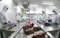 MT lidera exportações de carne bovina e responde por 23% das vendas do Brasil ao exterior