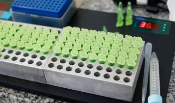 papel da fertilidade na Insemincao Artificial