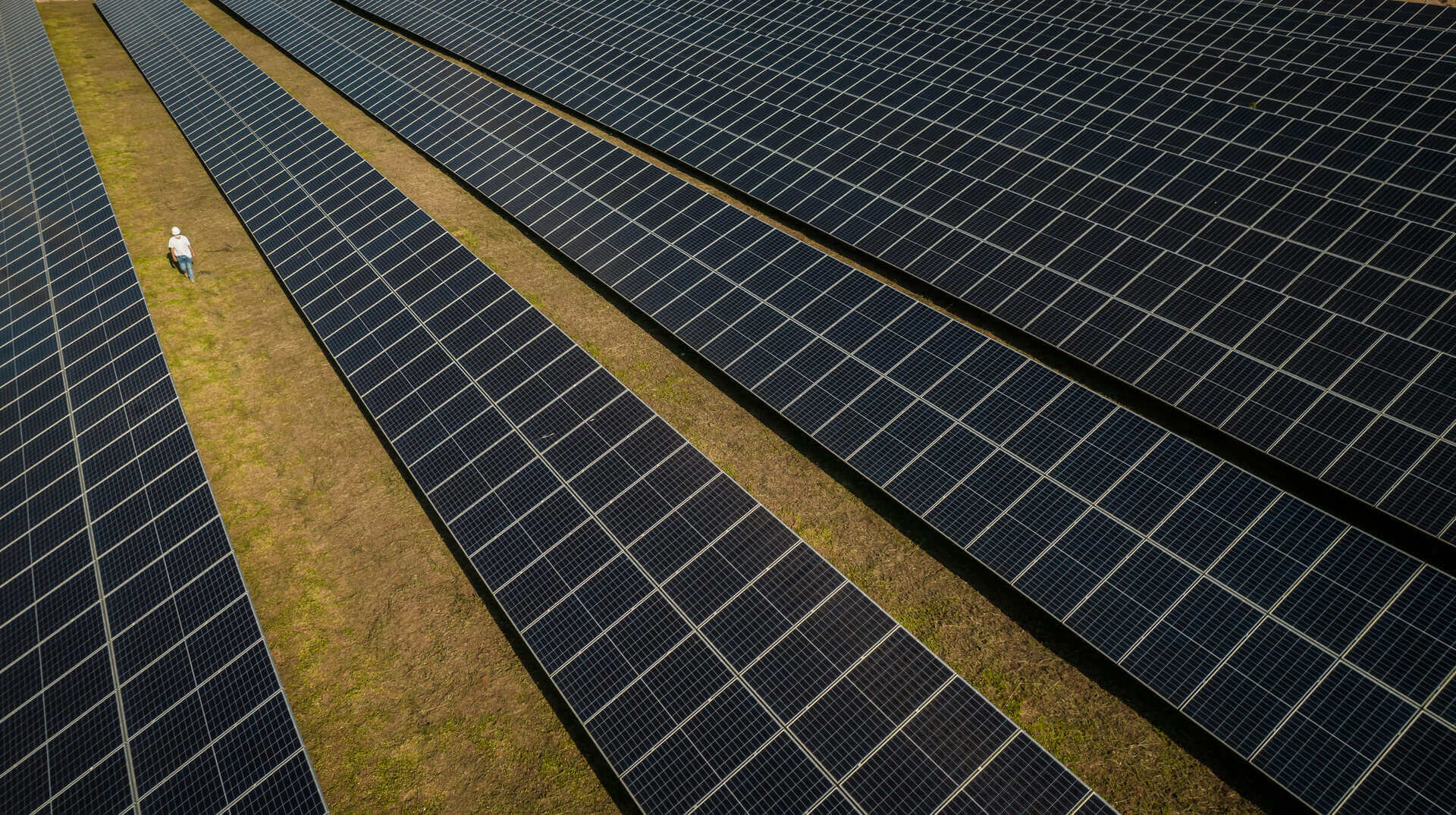 Consumidores corporativos e setor rural investem R$ 9,6 bilhões em novas instalações de energia solar em 2025, aponta TTS Energia 
