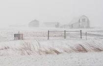 Tempestade de inverno recorde atinge agricultores e pecuaristas dos EUA