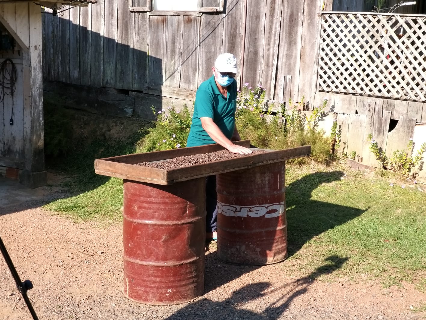 Produtor Heinz Siewert, de Corupá, aposta no cultivo de café