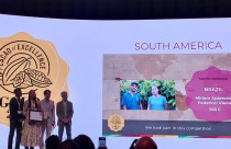 Brasil brilha no Cacao of Excellence 2026: três ouros reforçam posição global do cacau nacional