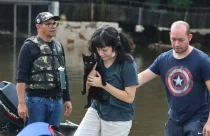 Senado aprova política de proteção a animais resgatados em desastres