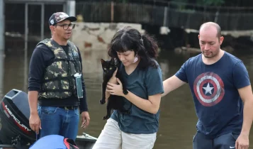 Senado aprova política de proteção a animais resgatados em desastres
