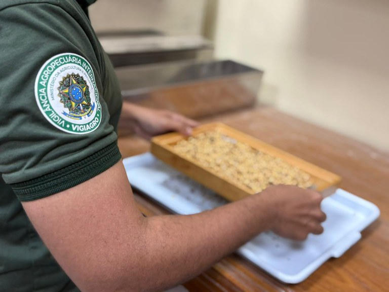 Mapa realiza visita no Amazonas para avaliação de procedimentos de certificação de exportação de grãos