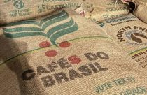 Bangladesh recebe primeiro embarque de café verde brasileiro