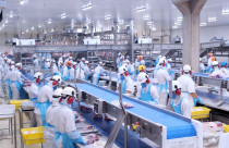 Better Group é o primeiro grupo frigorífico do Brasil a receber a certificação 2030 TODAY, alinhada aos ODS (ONU)