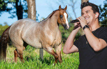 Cantor Hugo do HEG - Leilao Fazenda Palnejei