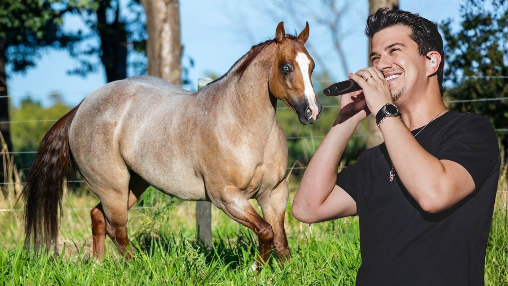 Cantor Hugo do HEG - Leilao Fazenda Palnejei