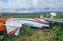 Queda de avião em lavoura de soja deixa piloto ferido no Distrito Federal