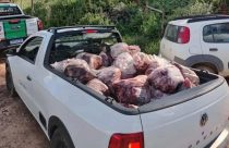 Fiscalização apreende 800 kg de carne clandestina e restos de cavalos em fazenda