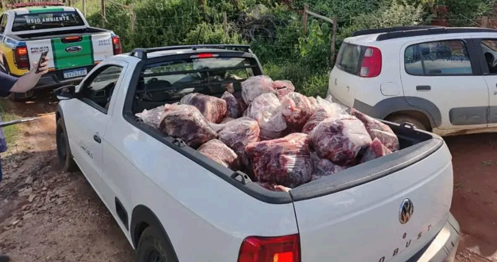 Fiscalização apreende 800 kg de carne clandestina e restos de cavalos em fazenda