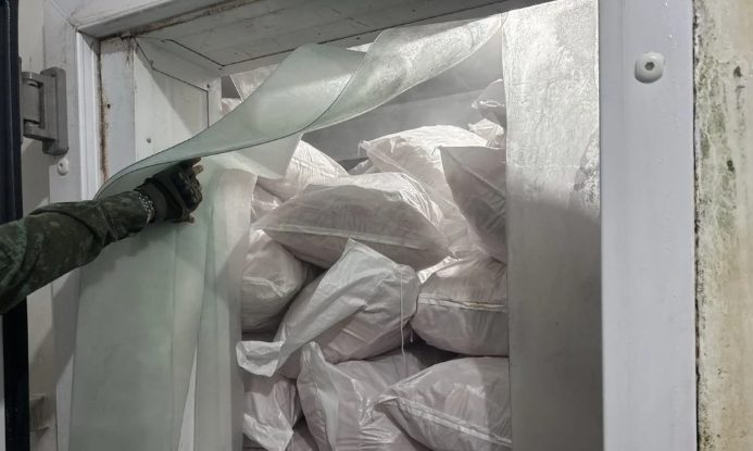 Frigorífico tem 100 toneladas de peixe apreendidas após surto de 'doença da urina preta'