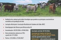 Prova de Leite a Pasto vai selecionar as melhores novilhas zebuínas leiteiras