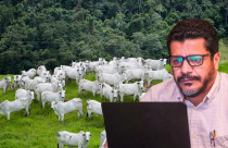 Cicero Ramos — engenheiro florestal e vice-presidente da AMEF