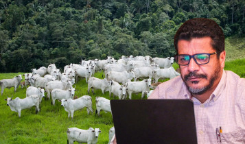 Cicero Ramos — engenheiro florestal e vice-presidente da AMEF