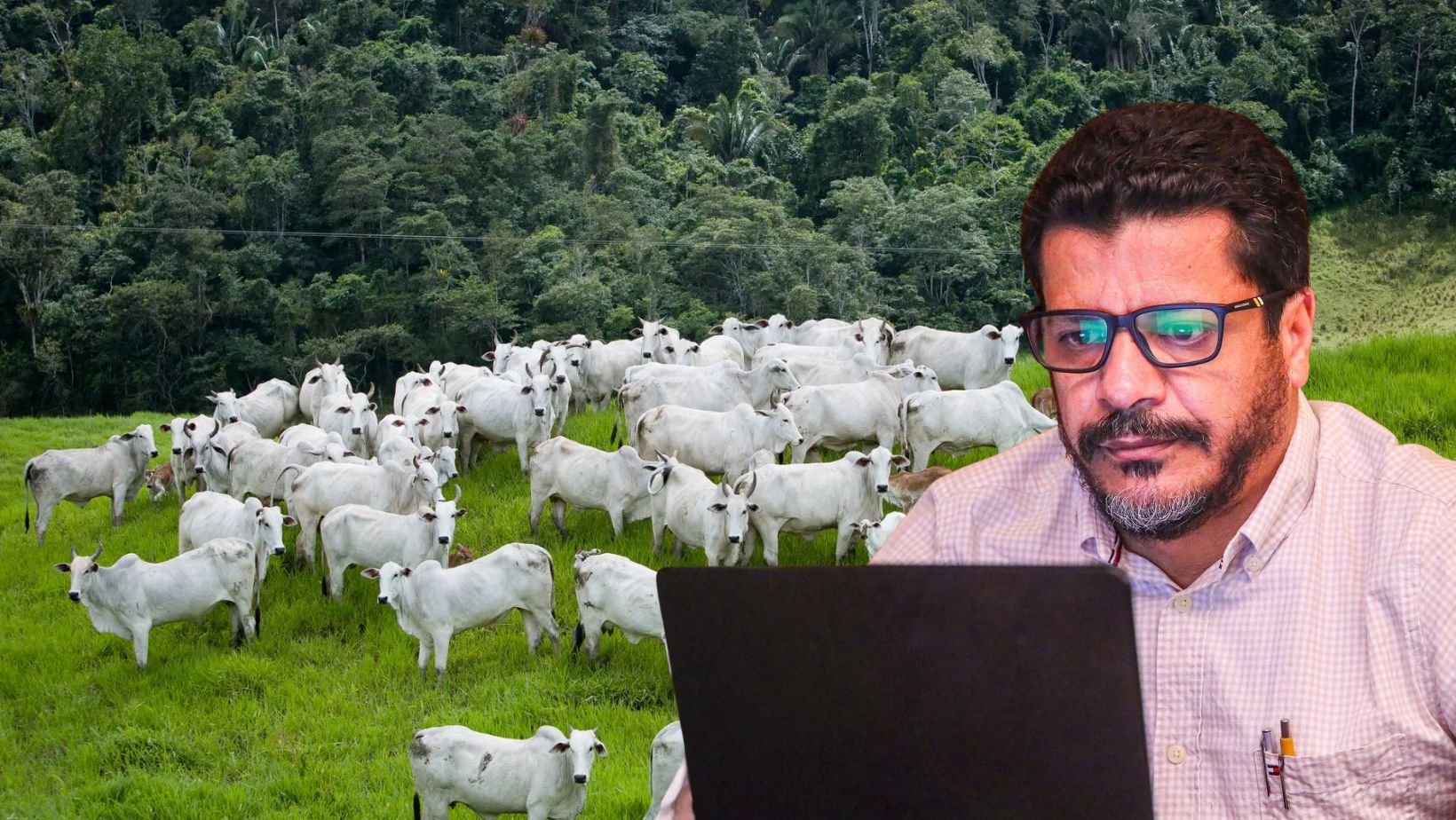 Cicero Ramos — engenheiro florestal e vice-presidente da AMEF