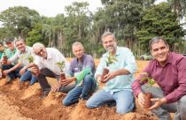 Emater Goiás aposta no café e fortalece o cultivo em Goianésia