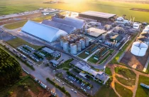 Milho “barato” vira energia milionária e revoluciona a bioindústria brasileira